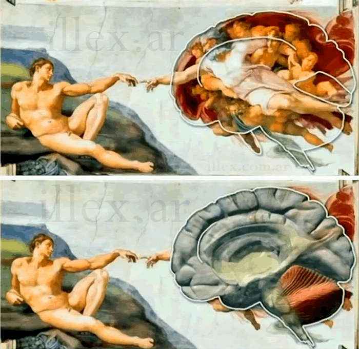 El techo de la Capilla Sixtina de Miguel Ángel