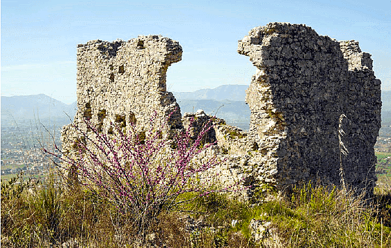 Castillo 