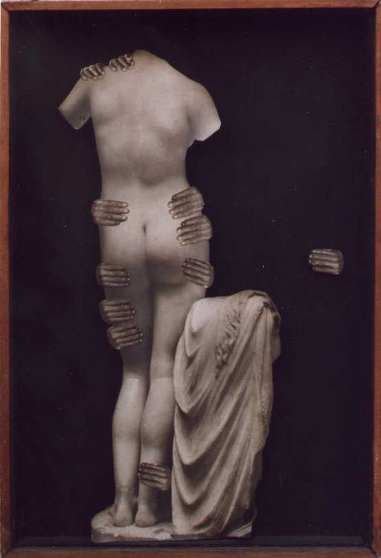 Semiosis 0044